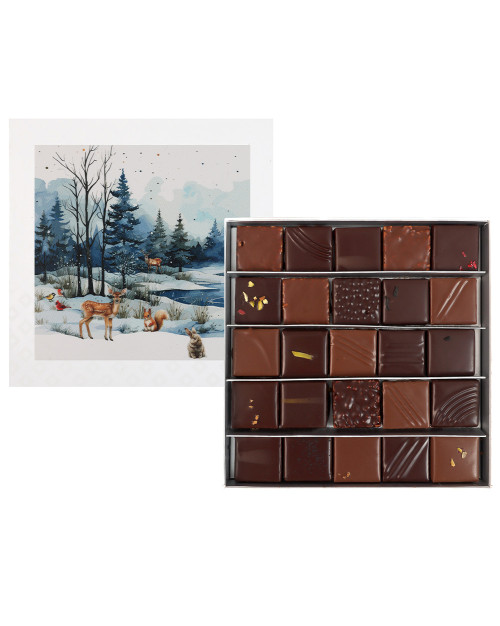 COFFRET 25 CHOCOLATS ASSORTIMENTS - 180G