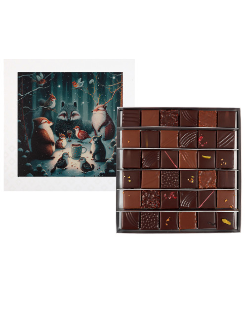 COFFRET 36 CHOCOLATS ASSORTIMENTS - 320G